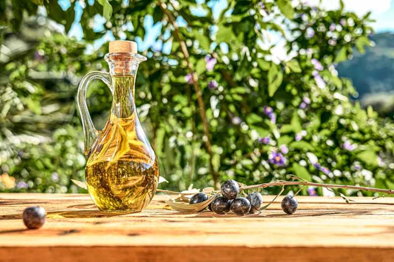 Liguria'da zeytinyağı üretimi